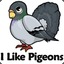 ETM pigeon