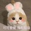 小梦i