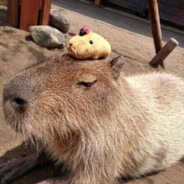 擦枪的开辟巴拉