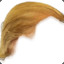 Donald Trump&#039;s Sentient Toupee