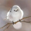 Flooffy Burd