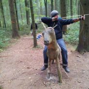 Takse