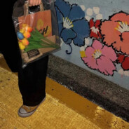 总有些惊奇的际遇