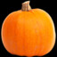 A pumpkin