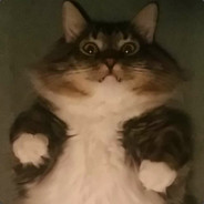 pTran