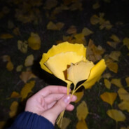 埋骨何须桑梓地