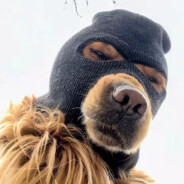 向神再借十厘米