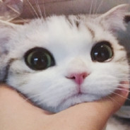 灌篮高手蔡徐坤