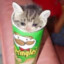 cat_pringles