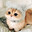 🐾𝒌𝒐𝓉𝒊𝐜_prime