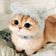 🐾𝒌𝒐𝓉𝒊𝐜_prime