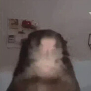 Sir Albany Eggcracker