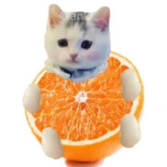 吃饭睡觉很重要