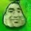 怨种倭瓜