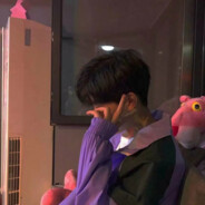 一只猫的告白、