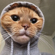 𝐃𝐚𝐧𝐢 𝐄𝐥 𝐓
