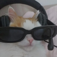 KittyEatCheeseBurger