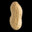 Peanut