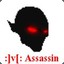 :]v[:Assassin