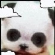 正能量黄小马