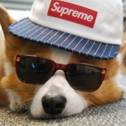 Beware of the Cool Corg