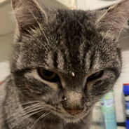 Заклинатель кала