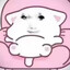 姐姐小学好多猫