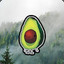Avocado Alt Fam