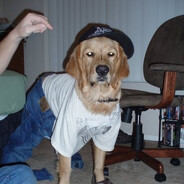 Lee