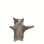 Xpyq