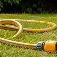 стасик прибабках