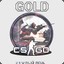 CS.GO GOLD