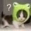 happy旭旭