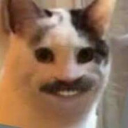 NiceMice