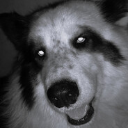 Mord3