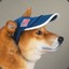 hat Dog