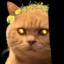 Nim