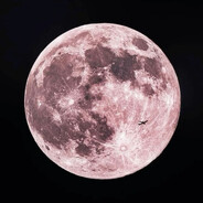 ✞ Samson - steam id 76561199398737302