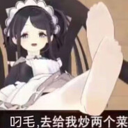 她的皎月闻越香