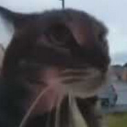 akaFriend-