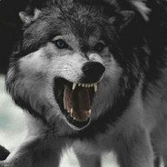 LoneWolfFTW