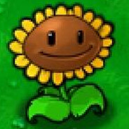 是不是阳光给多了