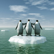PinguinBlatt501 - steam id 76561198811575898
