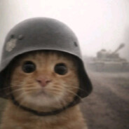 ꧁༺₦Ї₦ℑ₳༻꧂