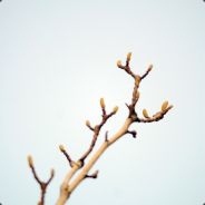 板上钉钉女大王