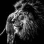 The Lion