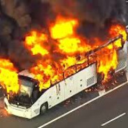 Gus Bus