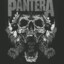 Фанат Pantera