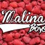 malina boy