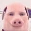 John Pork